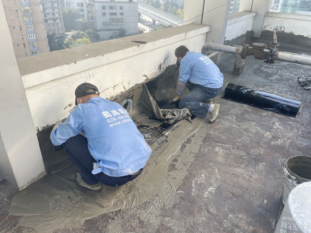 四川省人民代表大會(huì)常務(wù)委員會(huì)2號(hào)樓4樓裙樓屋面及8樓屋頂防水工程